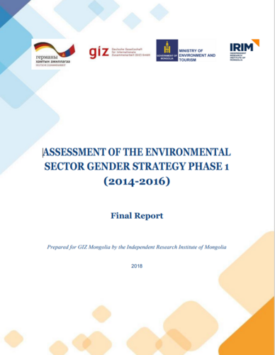 Assessment of the Environmental Sector Gender Strategy Phase 1 (2014-2016)